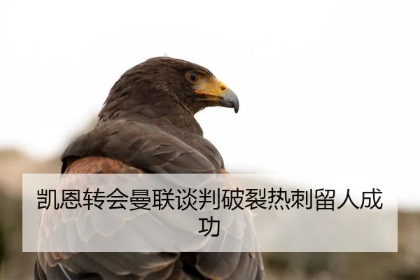 kai-en-zhuan-hui-man-lian-tan-pan-po-lie-re-ci-liu-ren-cheng-gong-2-421.jpg