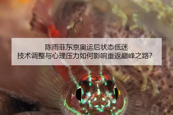 chen-yu-fei-dong-jing-ao-yun-hou-zhuang-tai-di-mi-ji-shu-tiao-zheng-yu-xin-li-ya-li-ru-he-ying-xiang-chong-fan-dian-2-224.jpg